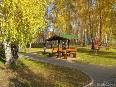 Сценарии взрослых праздников дни рождения