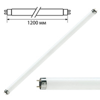 Лампа люминесцентная PHILIPS TL-D 36W/33-640 36 Вт цоколь G13 в виде трубки 120 см