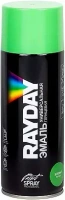 Эмаль универсальная глянцевая Rayday Paint Spray Professional 520 мл зеленая