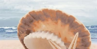 Коллекция Нефрит-Керамика Аликанте Аликанте Жемчужина на Море 07 00 5 10 00 11 123 декор 250*500 мм/9 мм разноцветный ма