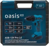 Шуруповерт аккумуляторный Oasis ASB 12V Pro 12 В