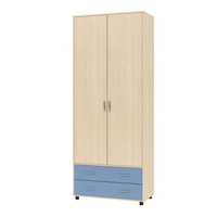 Шкаф для одежды Дельта №4 Формула мебели