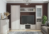 Модульная гостиная Гамма 20 (серия №4) SV-Мебель