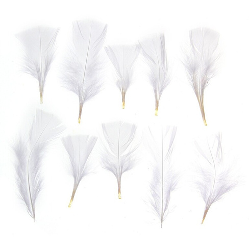 Набор перьев для декора 10 шт., размер 1 шт: 10 × 4 см, цвет белый No brand