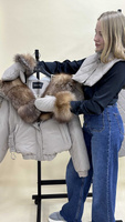 Бежевый зимний костюм: куртка с мехом блюфроста до груди и теплые штаны - Без аксессуаров